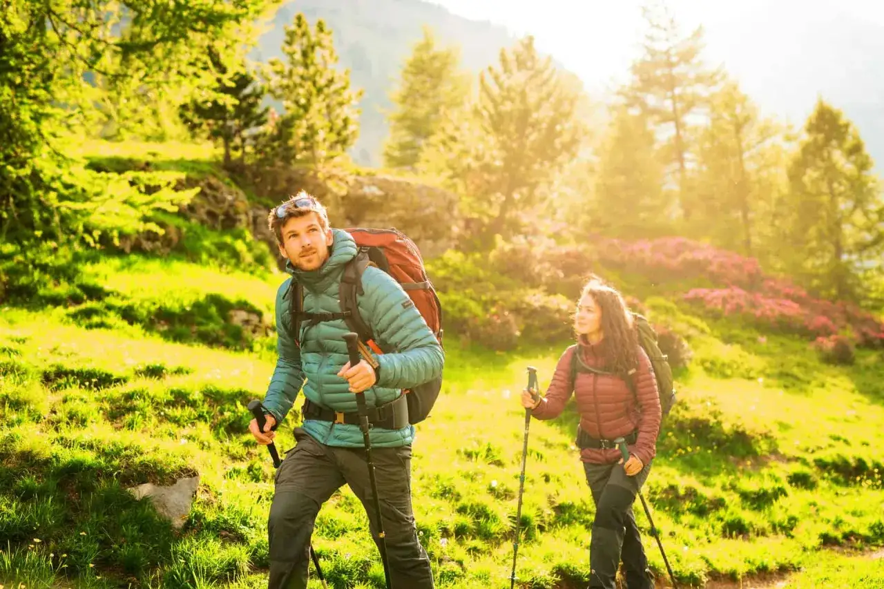 Karpaty – jaki to typ gór i co je wyróżnia w Europie?