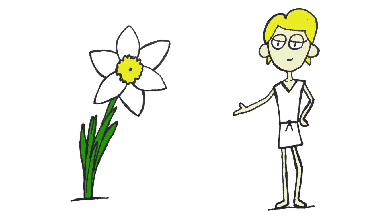 Postać z mitu o narcyzie, zapatrzona w piękny biały kwiat.