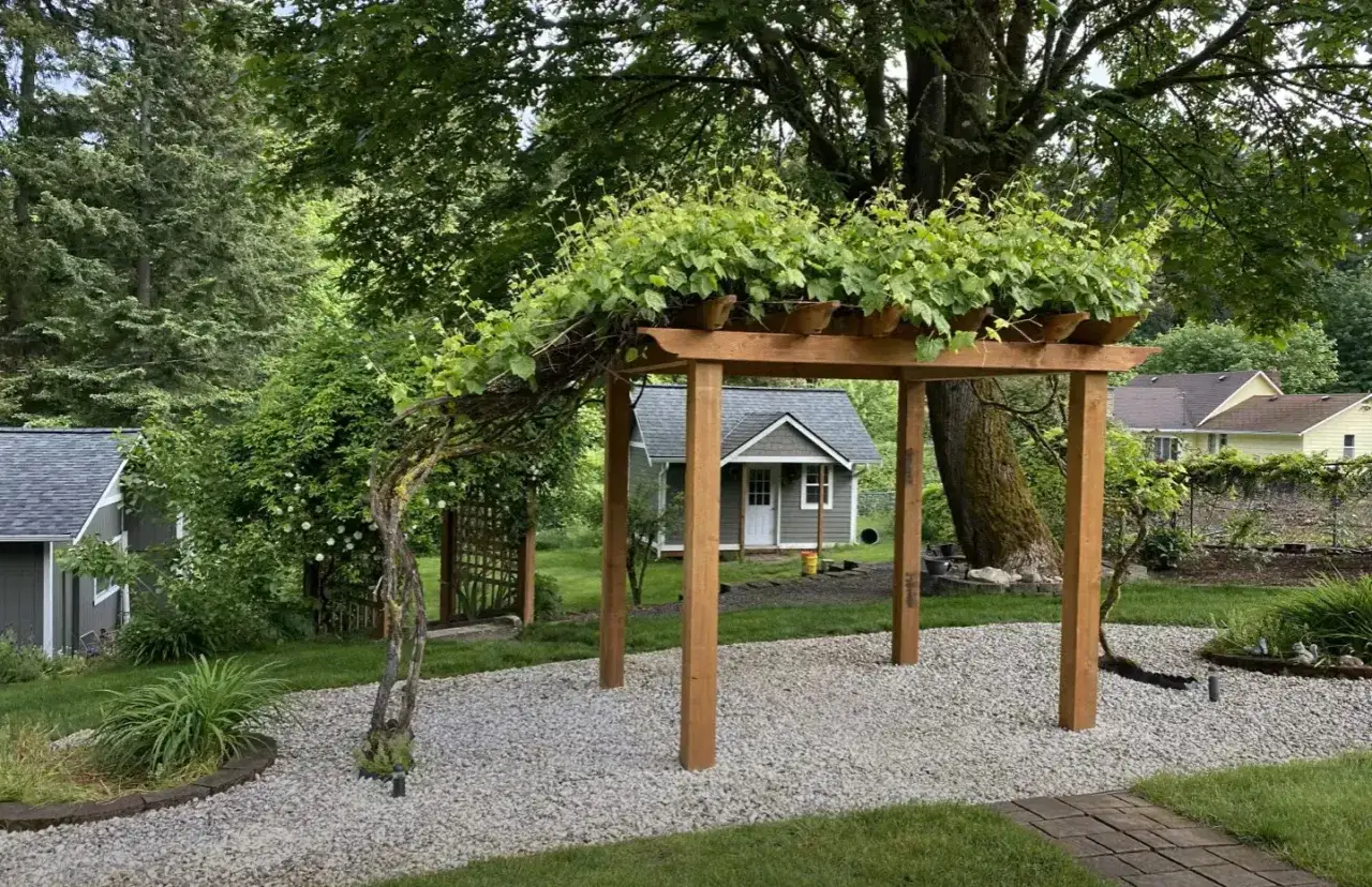 Drewniana pergola porośnięta winoroślą, idealna inspiracja, jak zrobić pergolę. W tle mały domek i zielony ogród.