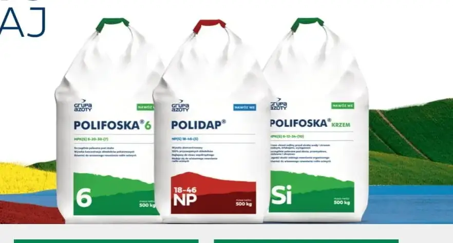 Ile polifoski na trawnik? Sprawdź, jak osiągnąć piękny trawnik