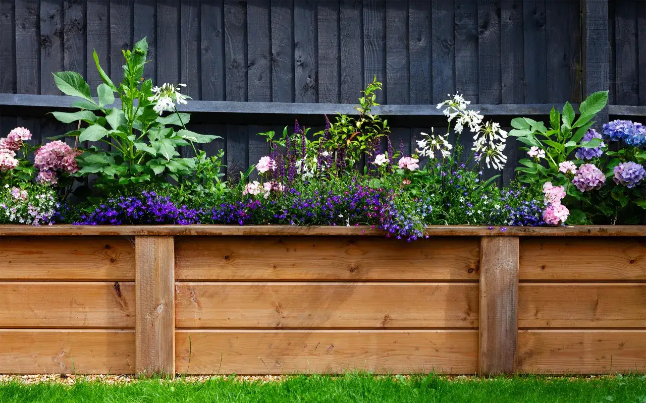 Jakie kwiaty posadzić przy płocie, aby stworzyć piękny ogród?