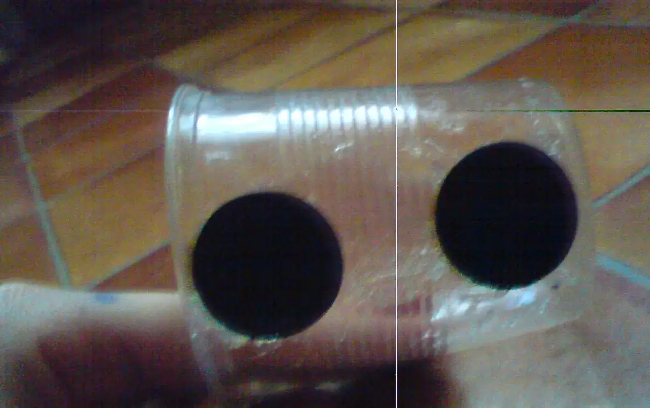 Jak zrobić kotnik dla rybek DIY? 3 proste metody krok po kroku