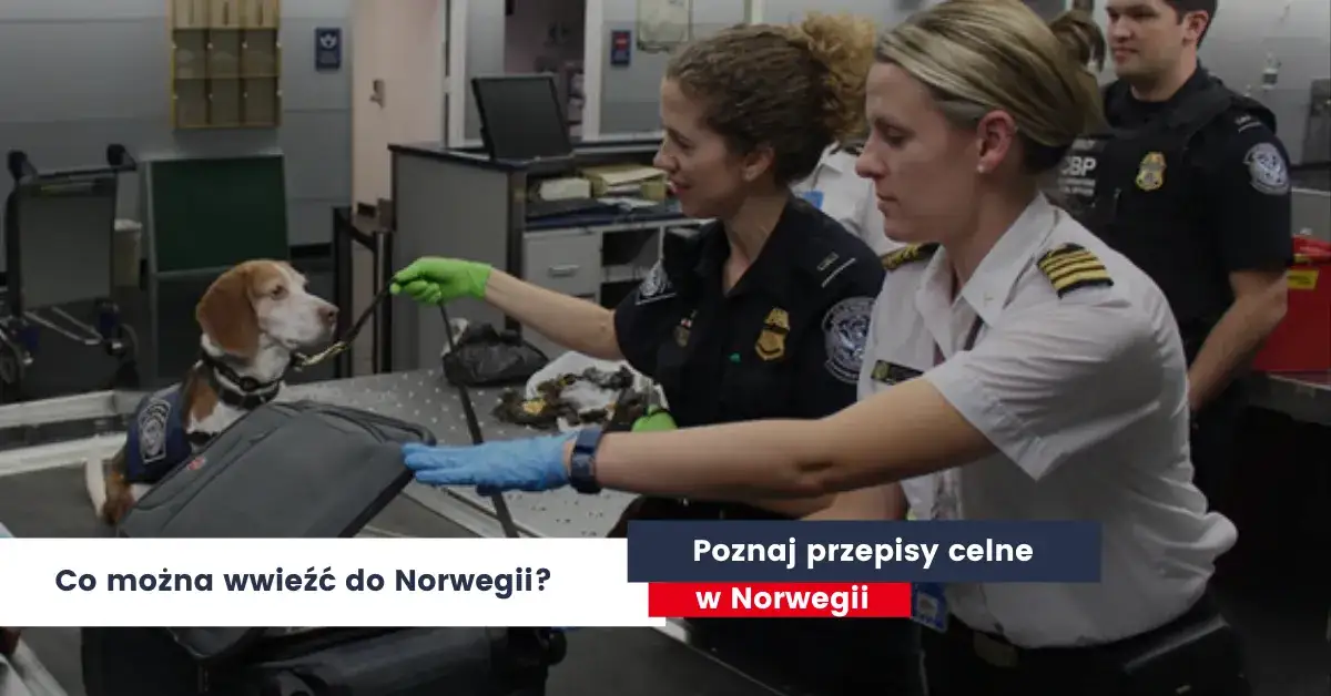 Co można przewieźć w bagażu podręcznym do Norwegii? Zasady i ograniczenia