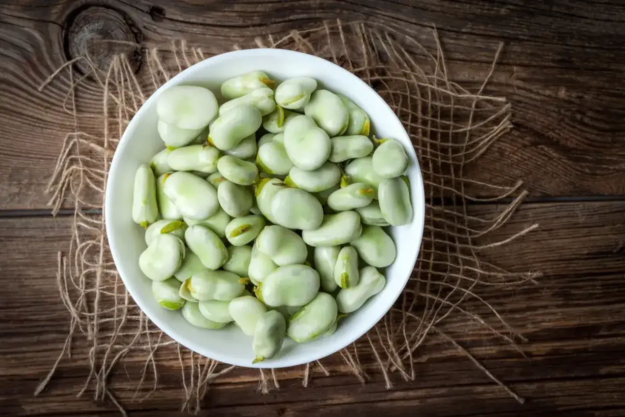 Jakie właściwości ma bób? Korzyści zdrowotne boba dla zdrowia i diety