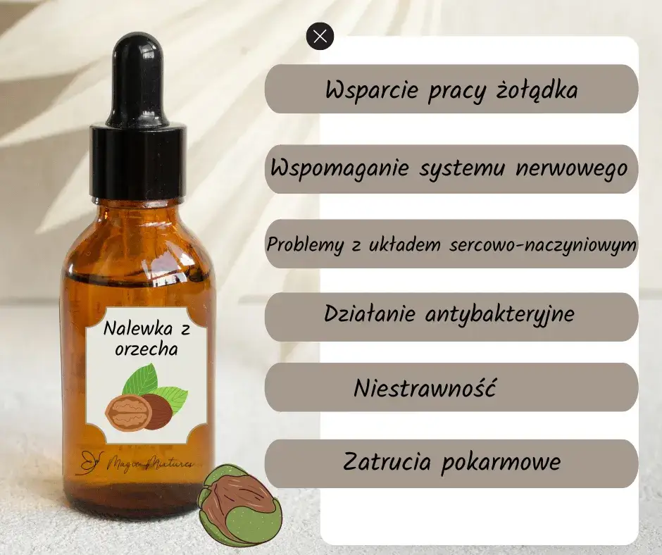 Nalewka orzechowa: naturalny lek na żołądek, pasożyty i tarczycę?