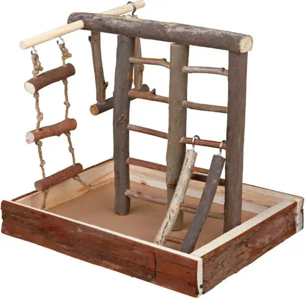 Jak zrobić plac zabaw dla papug - proste i tanie pomysły DIY