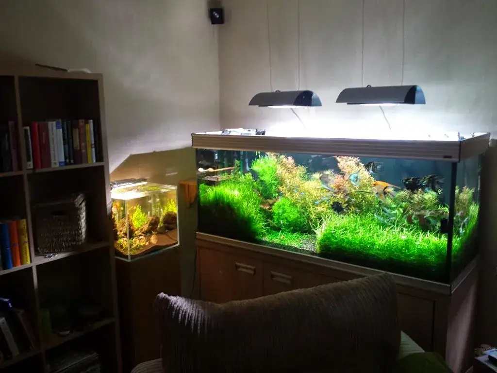 Jaką szafkę pod akwarium 200l wybrać, by uniknąć problemów?