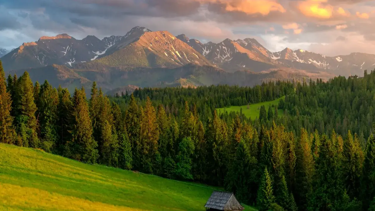Zachód słońca nad Tatrami. Na pierwszym planie zielona łąka i las, w oddali góry. Widać mały domek, jakby karczma widokowa w Bukowinie.
