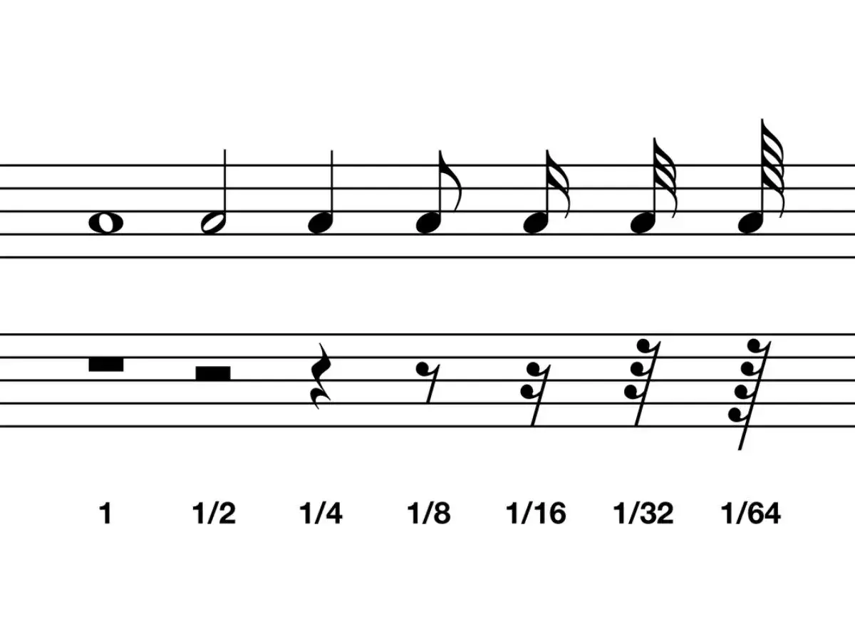 Różne rodzaje nut na pięciolinii: cała, półnuta, ćwierćnuta, ósemka, szesnastka, trzydziestodwójka i sześćdziesięcioczwórka.