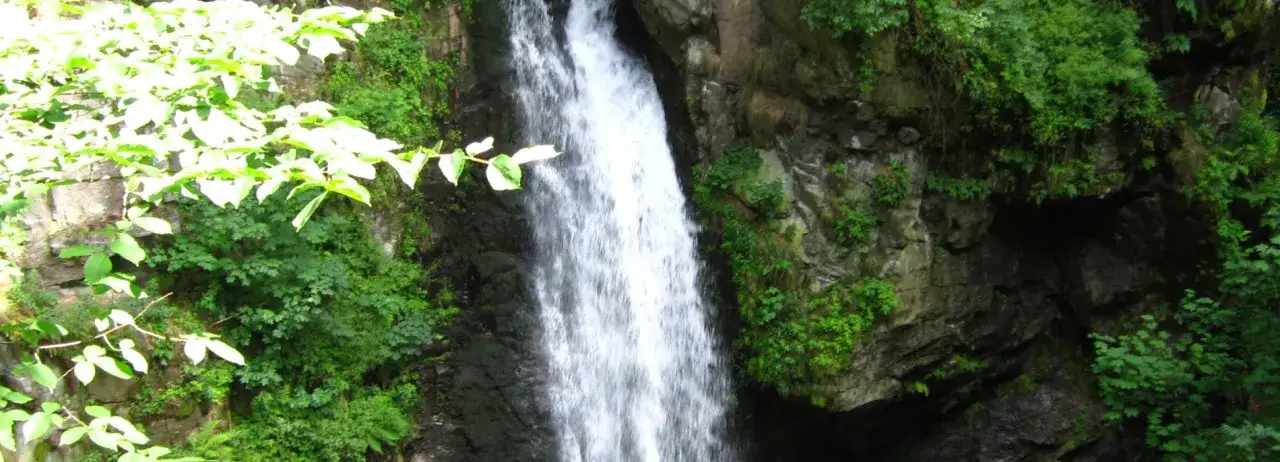 Rezerwat przyrody Wodospad Wilczki - odkryj jego niezwykłe piękno