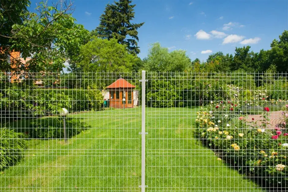 Czy można postawić płot w granicy? Zobacz, co musisz wiedzieć