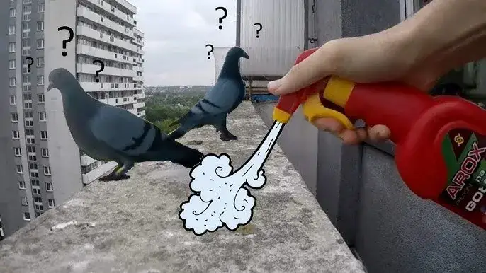 Skuteczne sposoby na pozbycie się gołębi na balkonie bez stresu