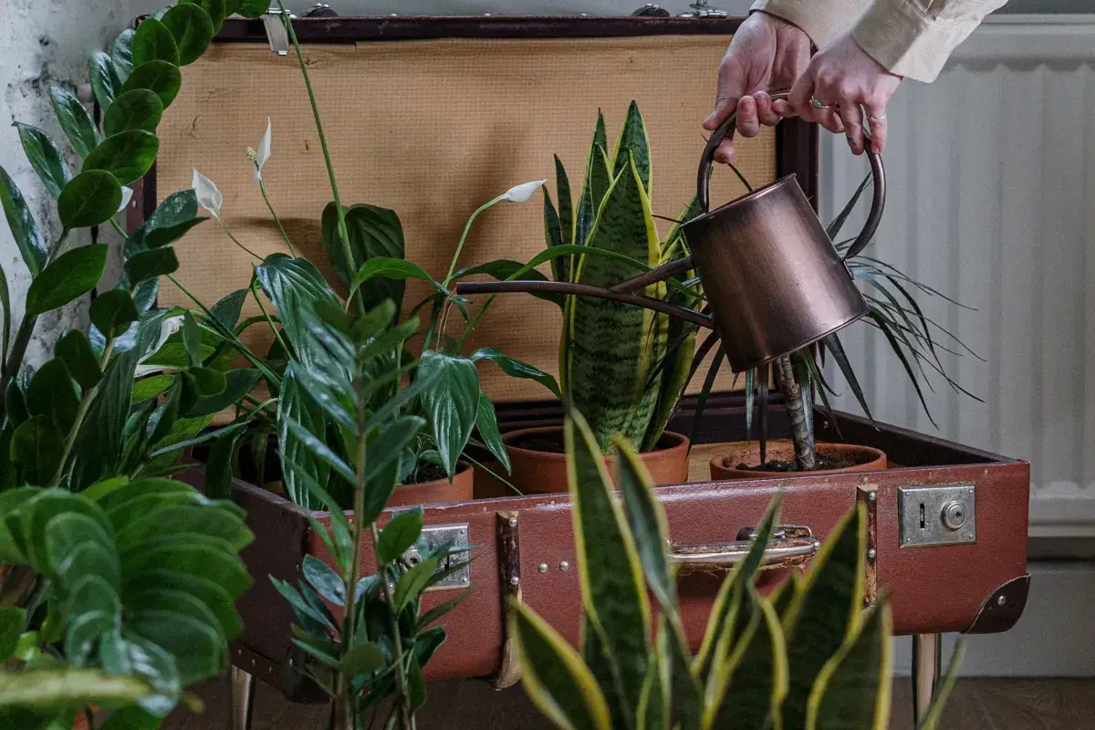 Jak zrobić kwietnik na działce - proste kroki i sprawdzone porady