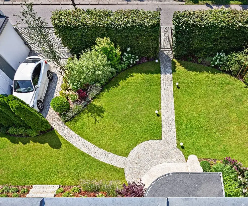 Jakie krzewy posadzić wzdłuż chodnika, by uniknąć problemów z pielęgnacją?