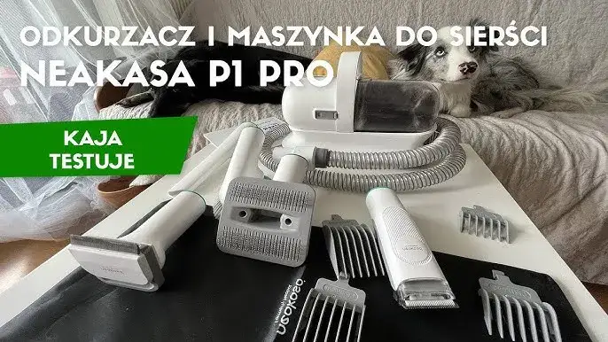 Jaki odkurzacz do sierści psa wybierać, aby uniknąć frustracji?