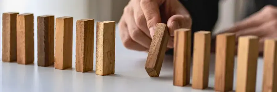 Zarządzanie na maturze: Jakie przedmioty wybrać? Kluczowy poradnik