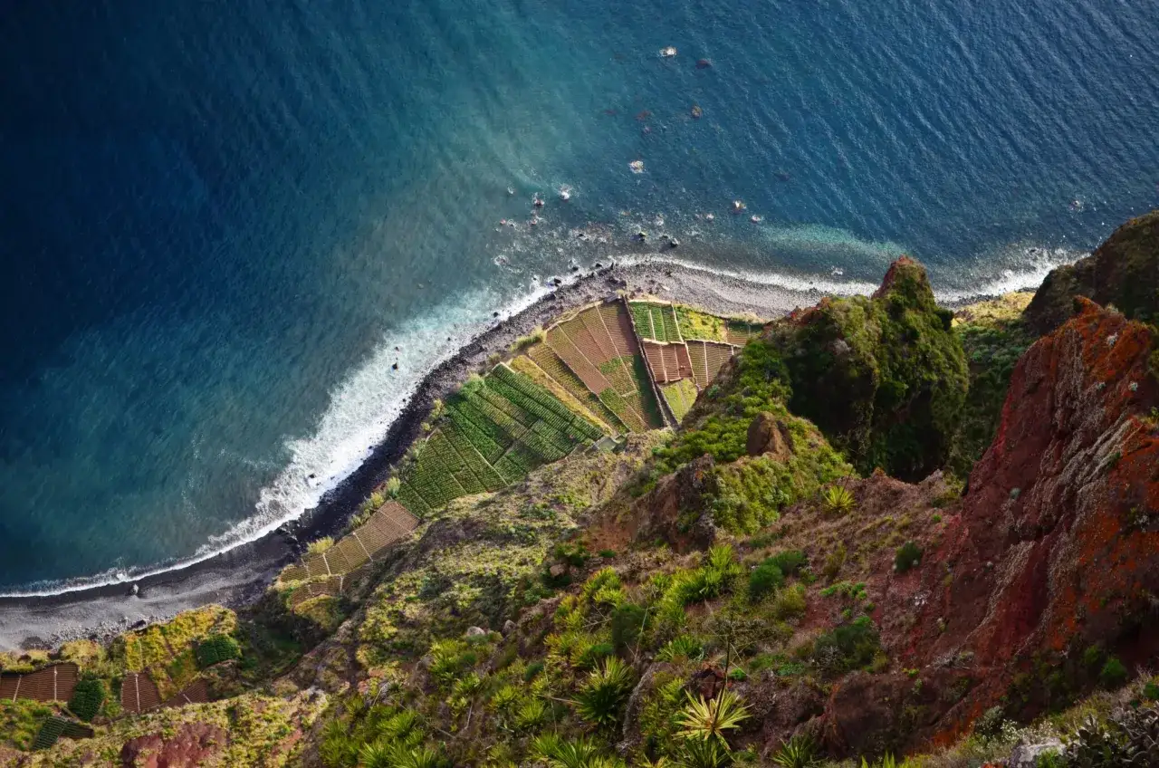 Tarasy uprawne na stromym zboczu, z widokiem na ocean. Wczesna wiosna na Maderze, zieleń budzi się do życia.