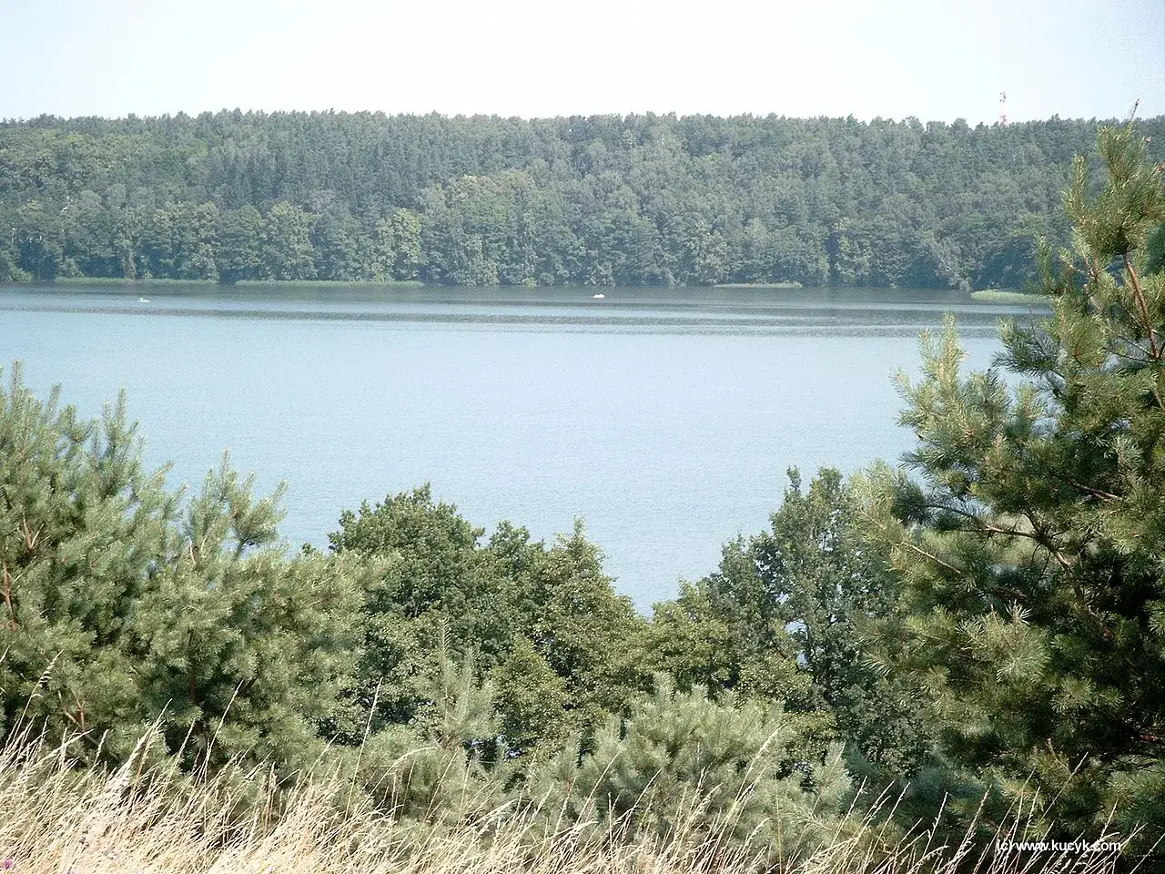 Jezioro Głębokie Lubelskie: Przewodnik po raju na Pojezierzu!