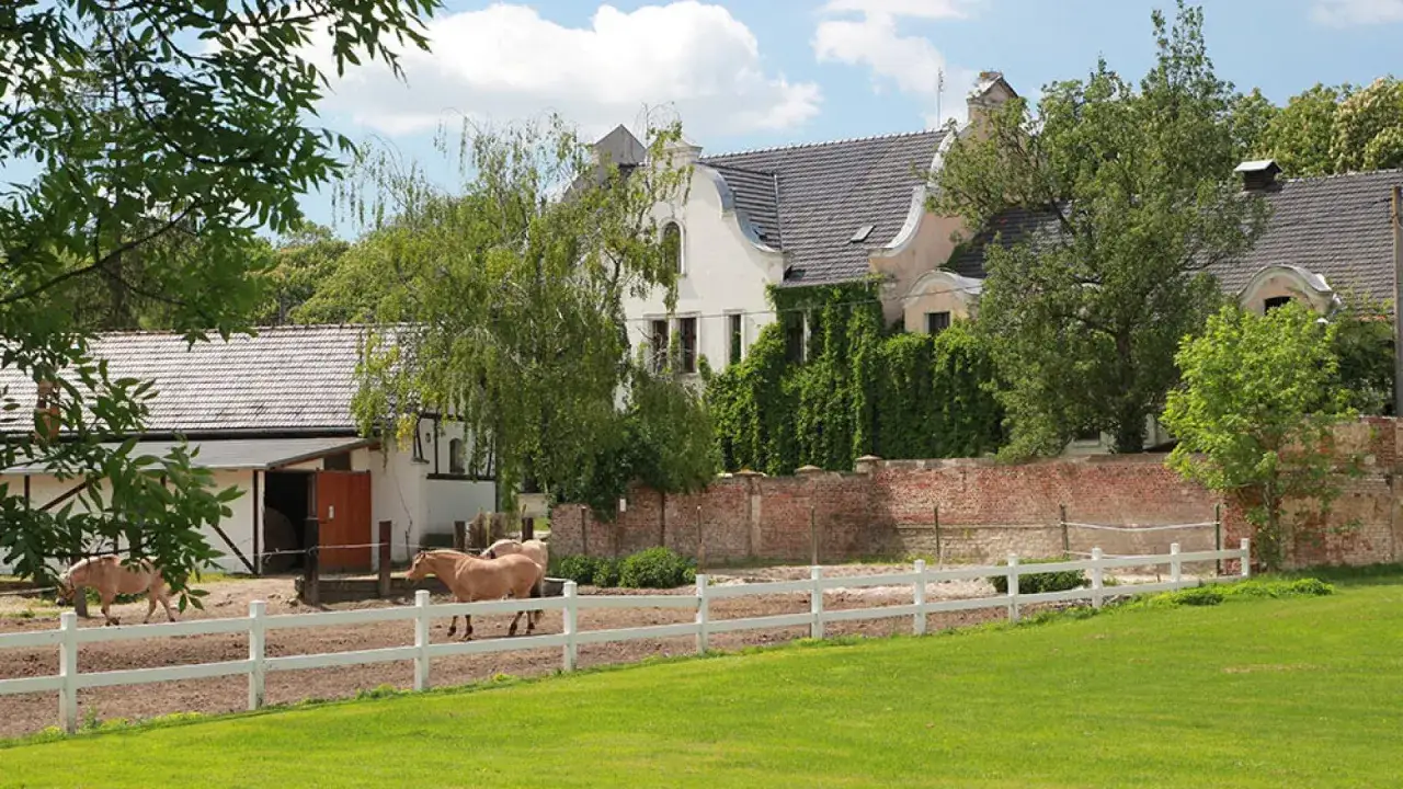 Stadnina Koni Moszna: Twój przewodnik po świecie koni i zamku