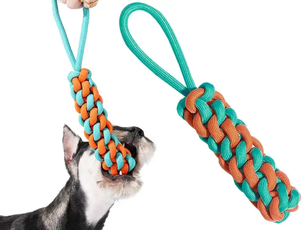 Jak zrobić szarpak dla psa ze sznurka - prosta i trwała zabawka