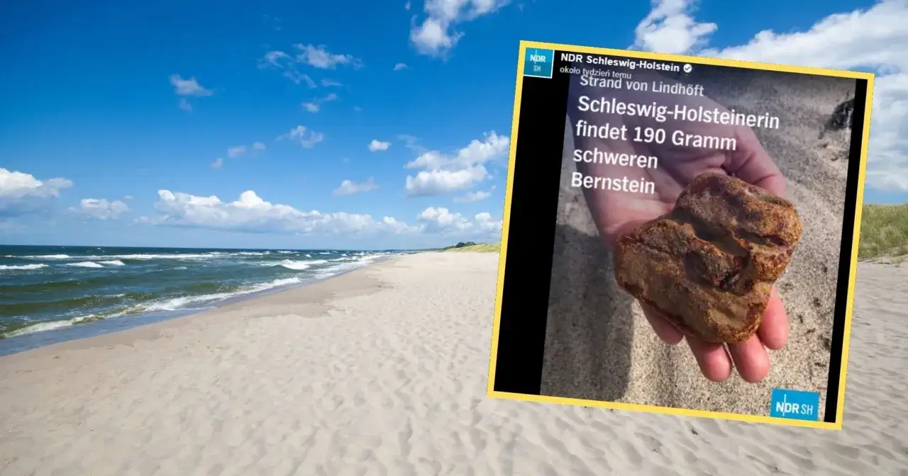 Poszukiwanie bursztynu: Kiedy i gdzie znaleźć bałtyckie skarby?