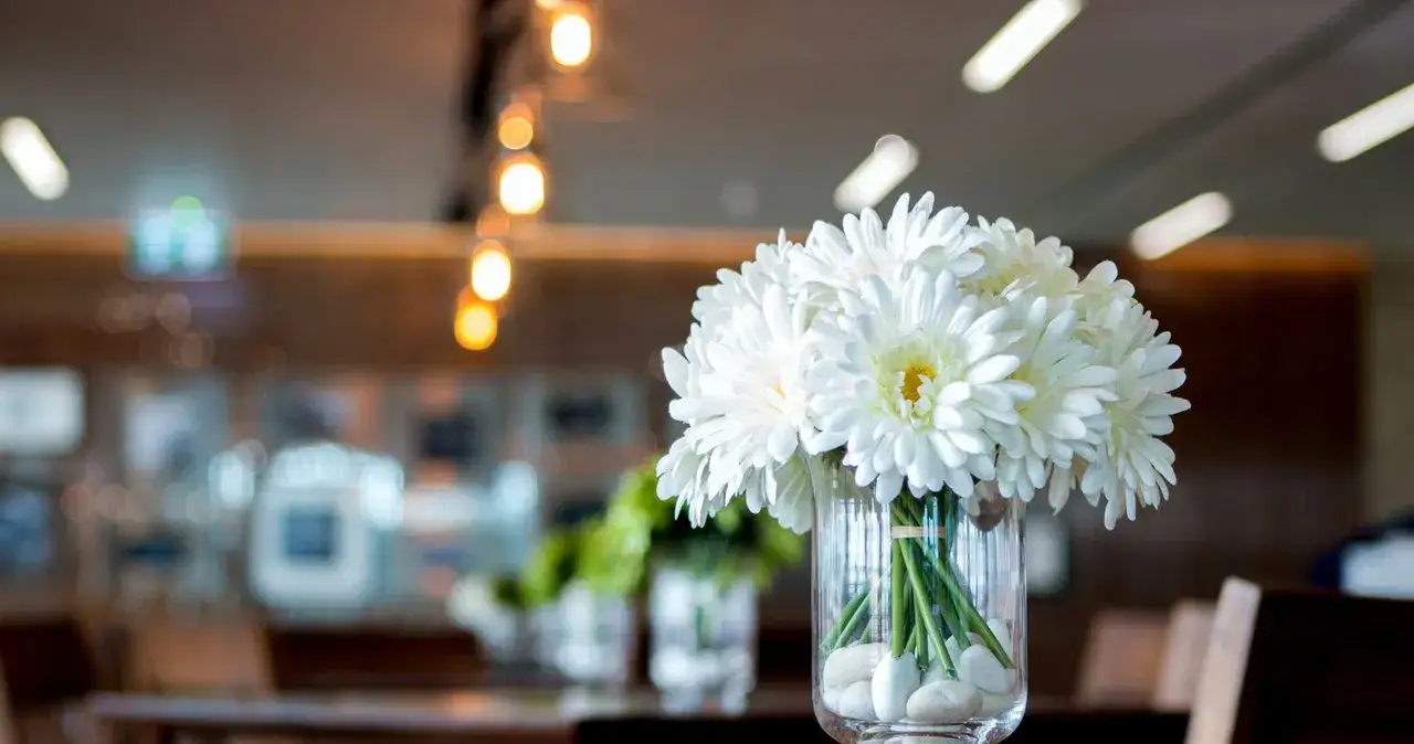 Jakie kwiaty na komunię - wybierz najpiękniejsze i symboliczne opcje