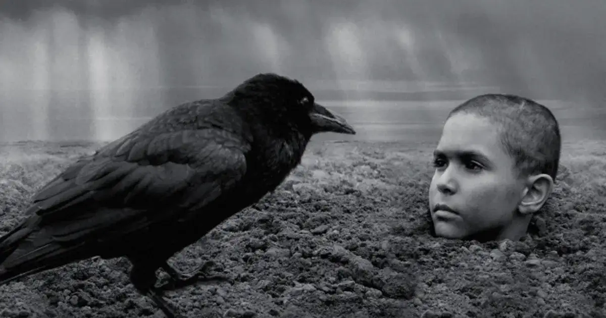 Gdzie obejrzeć film Malowany ptak online? Odkryj najlepsze platformy