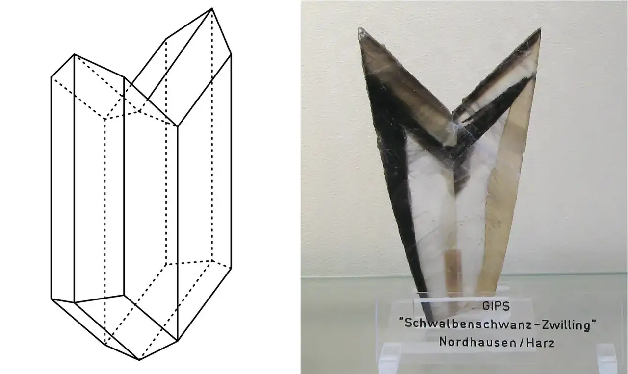 Schematyczny rysunek kryształu gipsu i rzeczywisty okaz gipsu "jaskółczy ogon".
