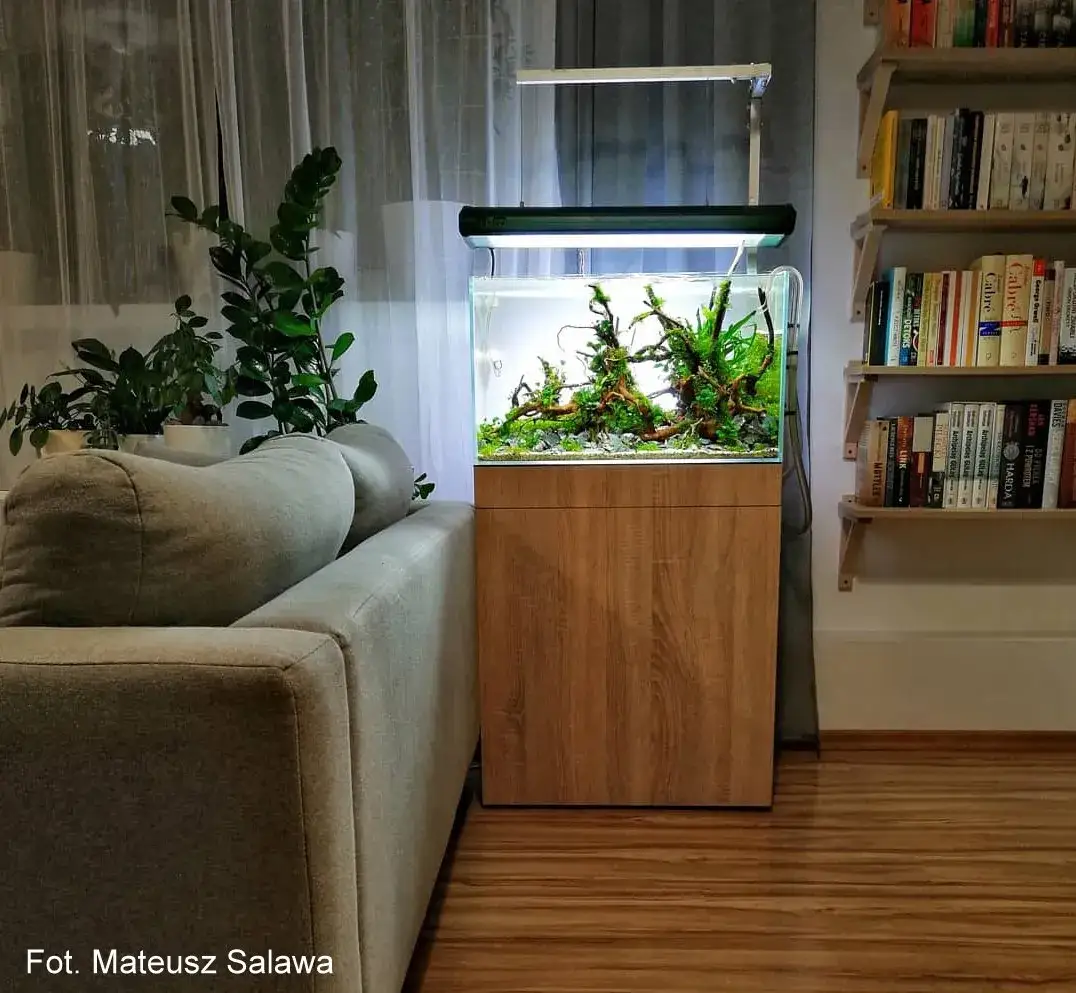 Jaką szafkę pod akwarium wybrać, by uniknąć problemów z trwałością?