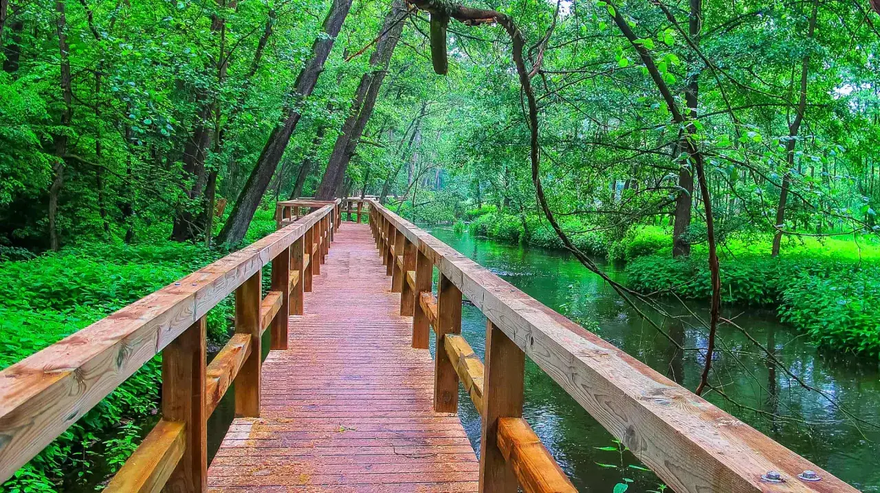 Co robić w Radomiu? Odkryj nieoczywiste atrakcje i plan!