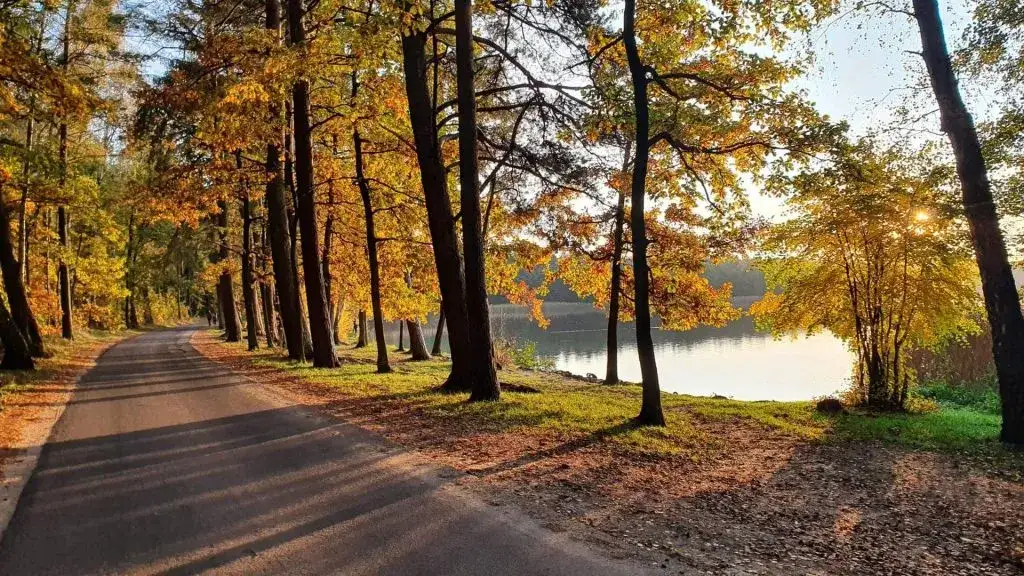 Jezioro Trzechowskie: Odkryj tajemnice i atrakcje tego miejsca