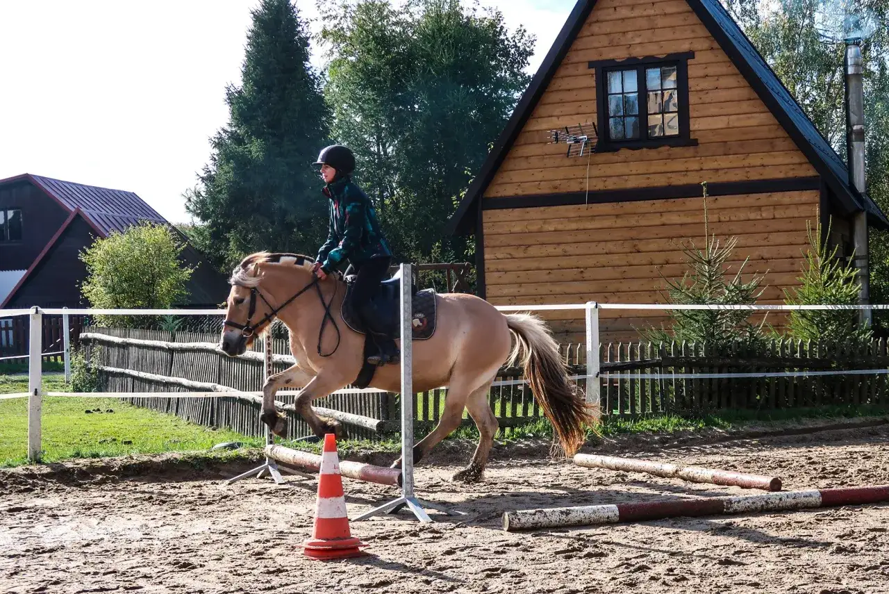 Jeździec na koniu fiord podczas treningu w stajni Fiord Łapalice.