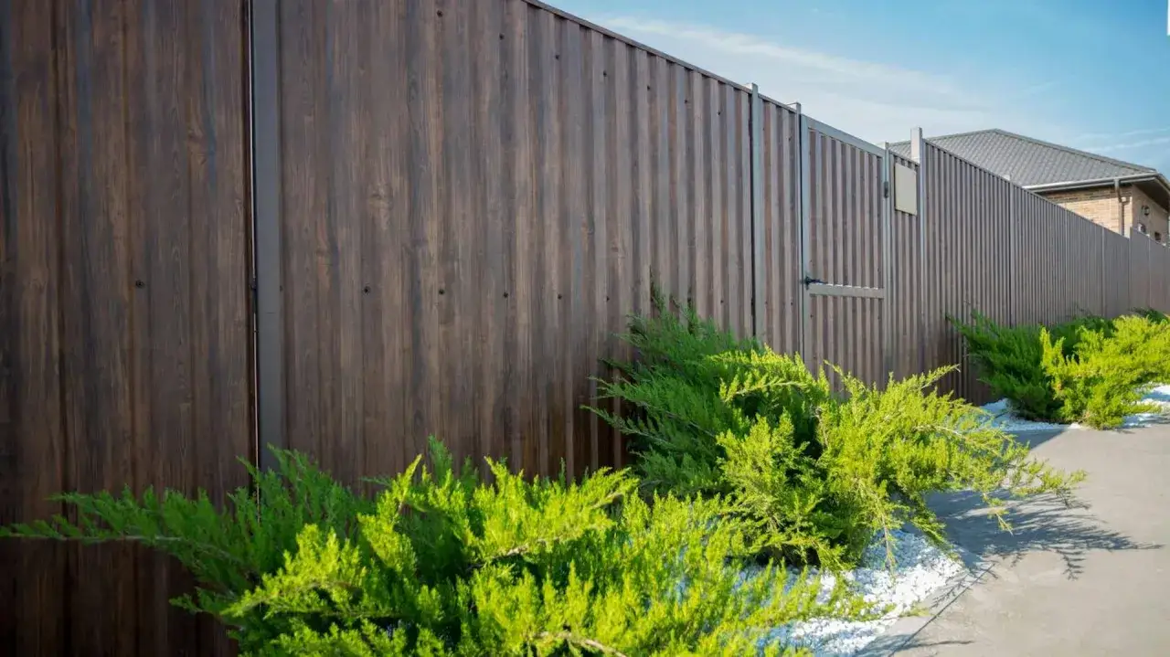 Skuteczne sposoby na zasłonięcie ogrodzenia panelowego dla lepszej prywatności