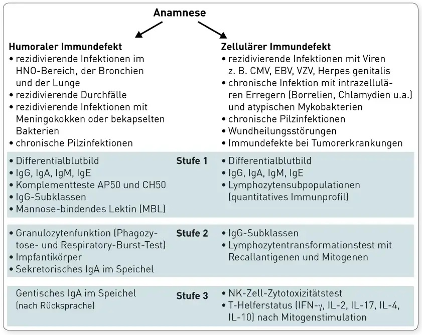 Die wichtige Rolle der Immundefekt Diagnostik im Gesundheitswesen