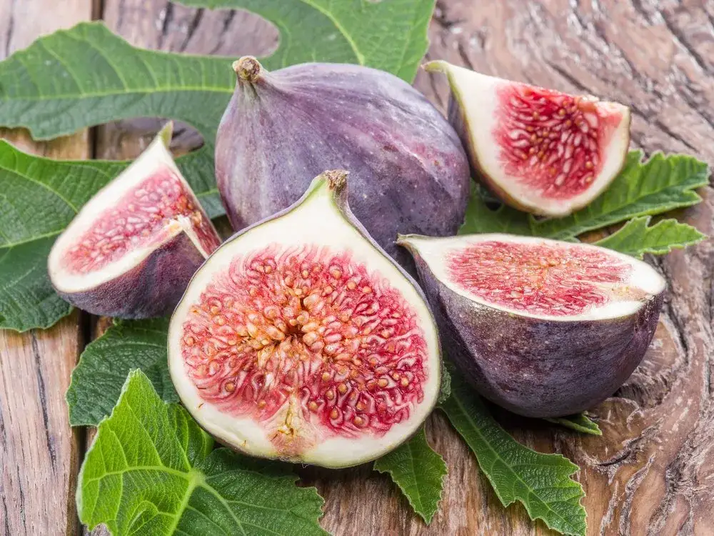 Czy figi są zdrowe? Odkryj ich niezwykłe korzyści dla zdrowia