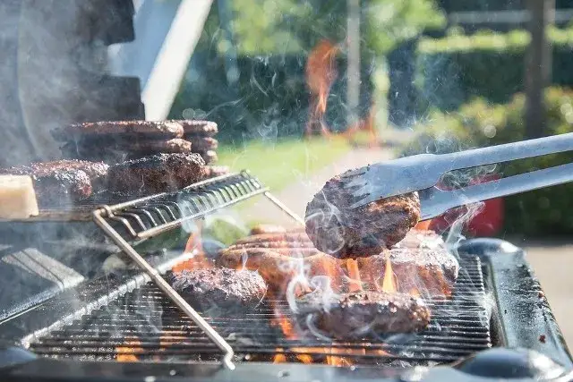 Grill w Powsinie: najlepsze miejsca i zasady grillowania w parku