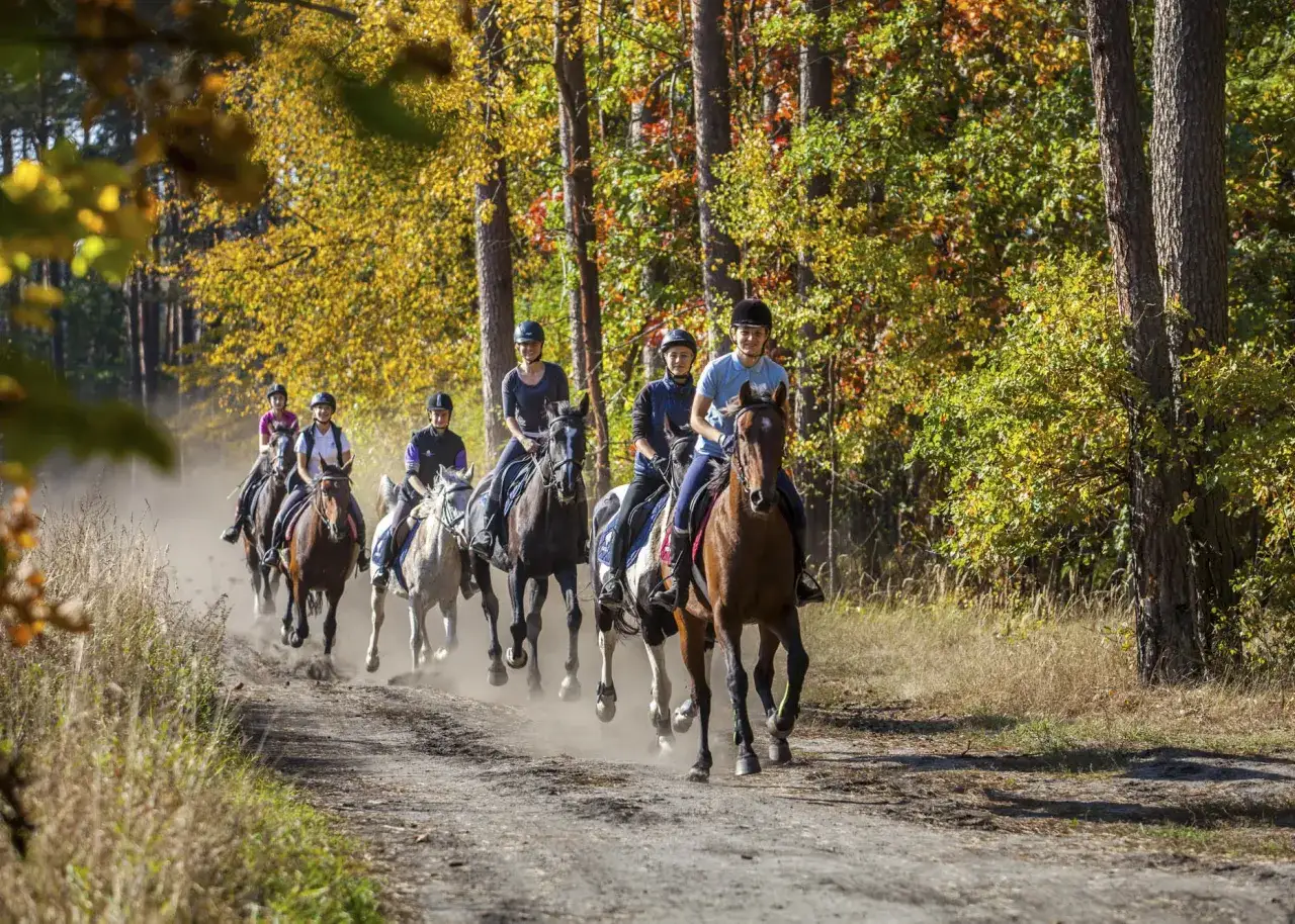 Ikona Jeździectwa: Która stajnia dla Ciebie? Warmia czy Lubuskie?