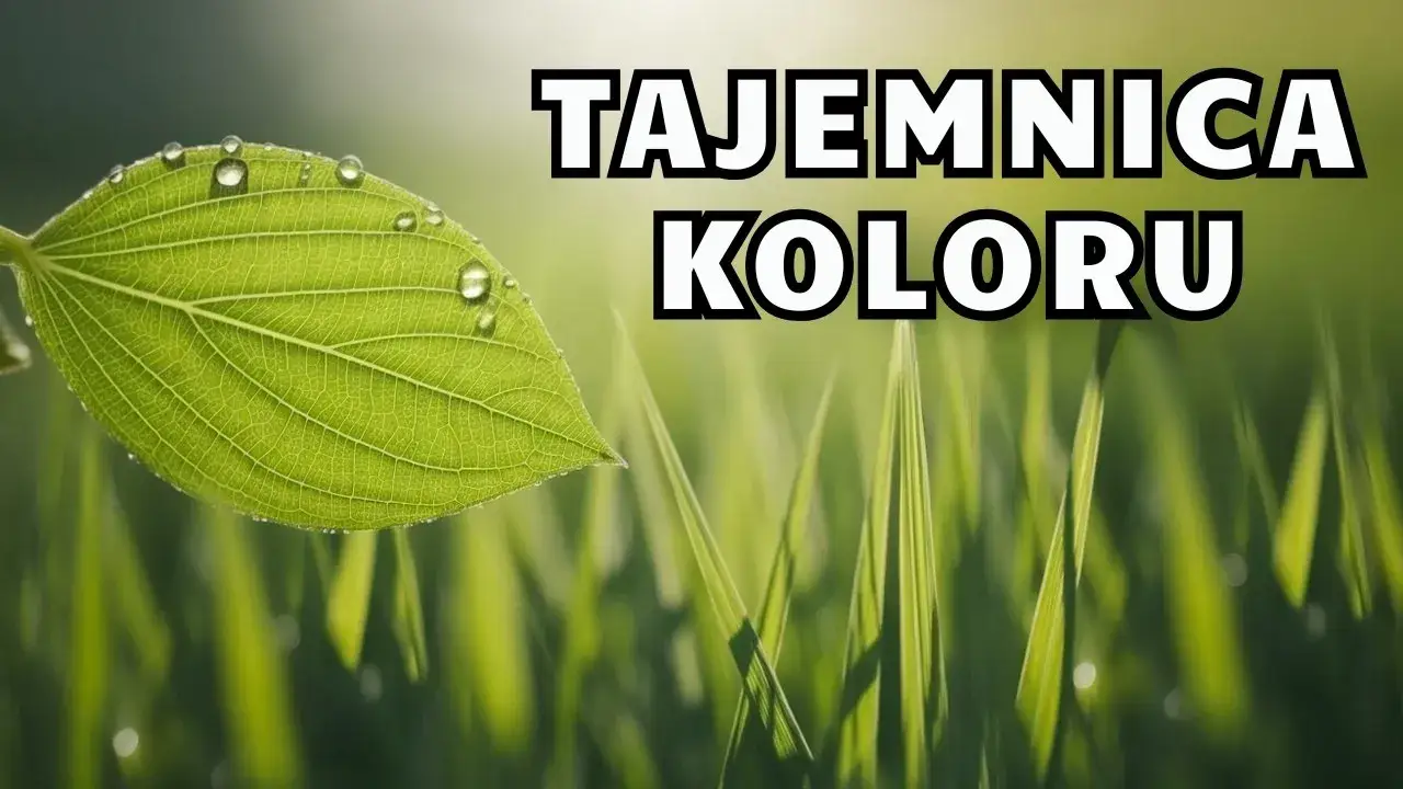 Dlaczego trawa jest zielona? Nauka o chlorofilu i fizyce światła