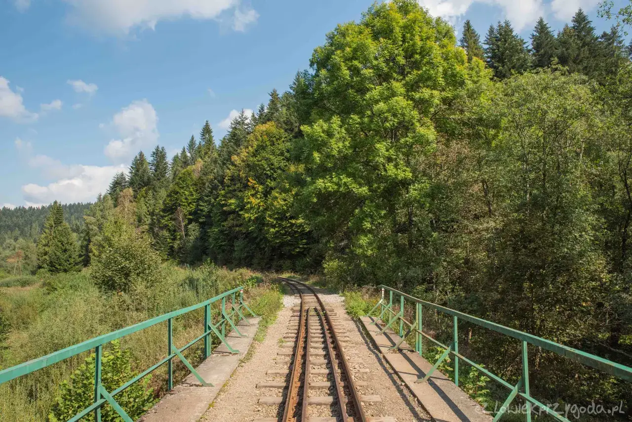 Szlaki Bieszczady: Jak zaplanować idealną górską przygodę?