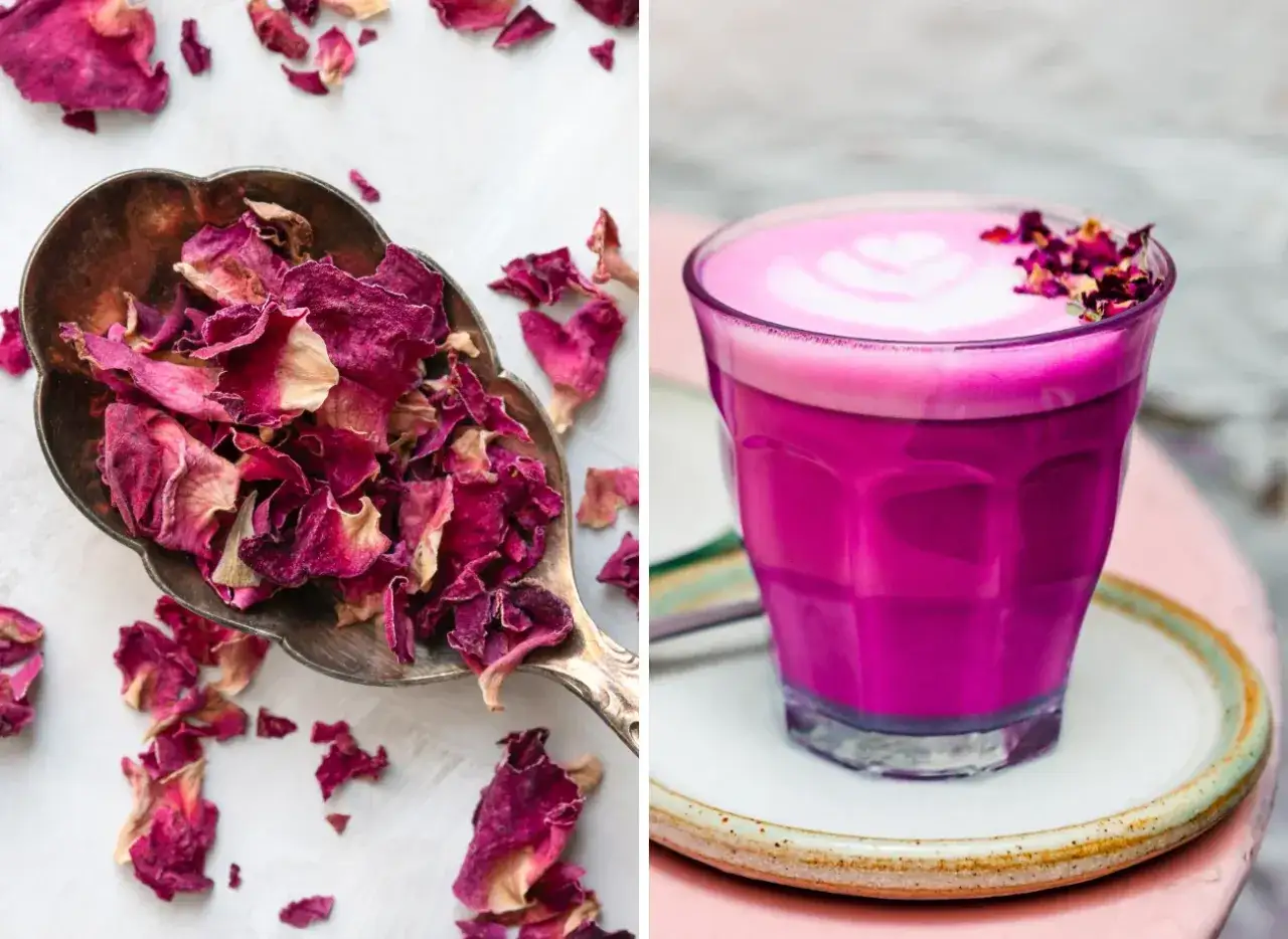 Suszone płatki róż na łyżce i różowy napój z pianką. Dowiedz się, jak suszyć róże, by uzyskać taki efekt.