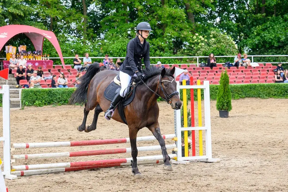 Katedra Hodowli Koni UWM Olsztyn: Twoja droga do świata koni?