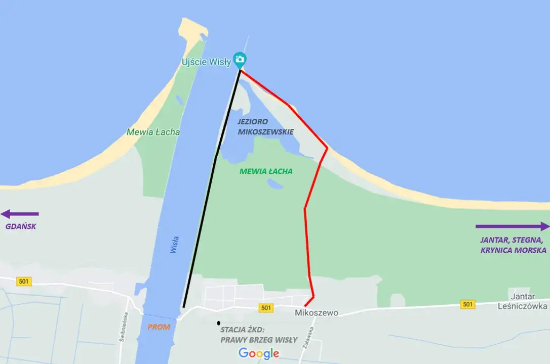 Ujście Wisły: Gdzie Bałtyk spotyka foki? Przewodnik po Mewiej Łasze