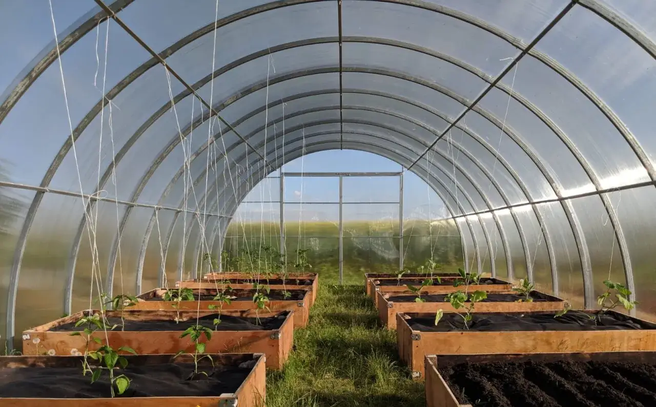 Jak montować poliwęglan lity - unikaj najczęstszych błędów w instalacji