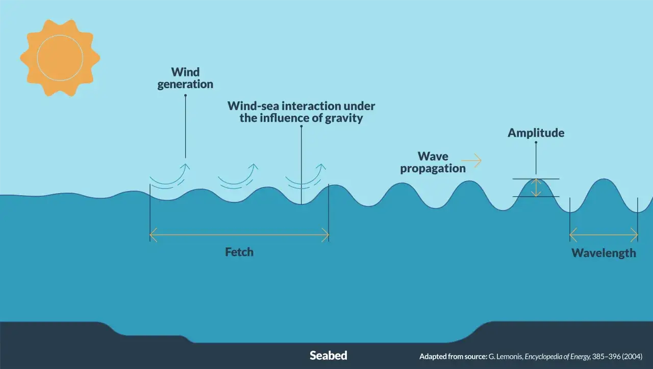 Ilustracja pokazuje, jak powstają fale na morzu: wiatr generuje energię, która oddziałuje z wodą, tworząc fale o określonej amplitudzie i długości.