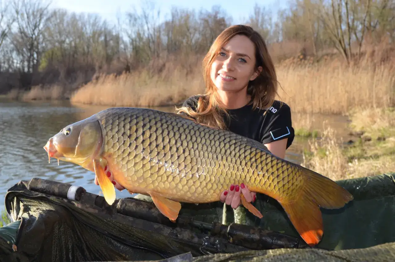 Kobieta zadowolona trzyma dużego karpia. To dowód, jak przygotować bobik na ryby, by złowić takie okazy.