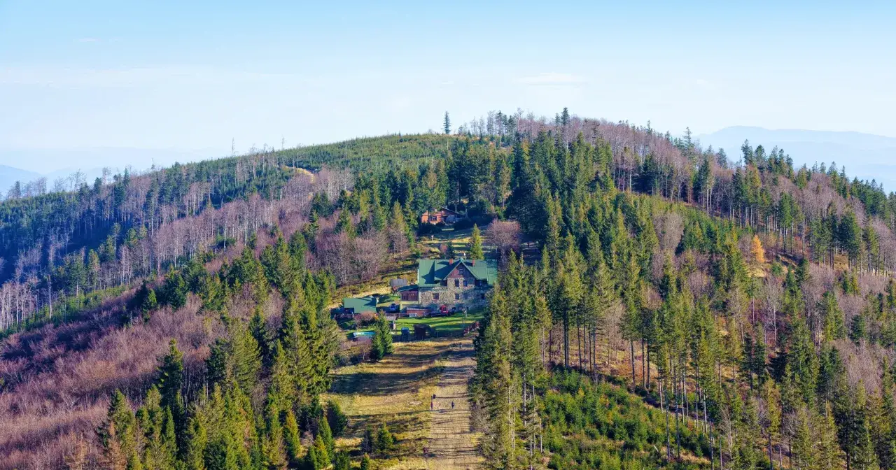Widok na górskie schronisko na Babiej Górze, otoczone lasem iglastym i liściastym.