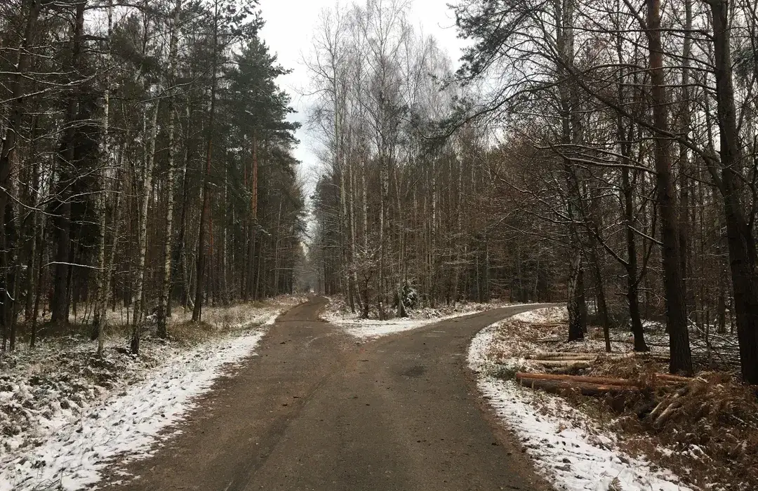 Puszcza Dulowska trasy rowerowe - odkryj najlepsze szlaki i atrakcje