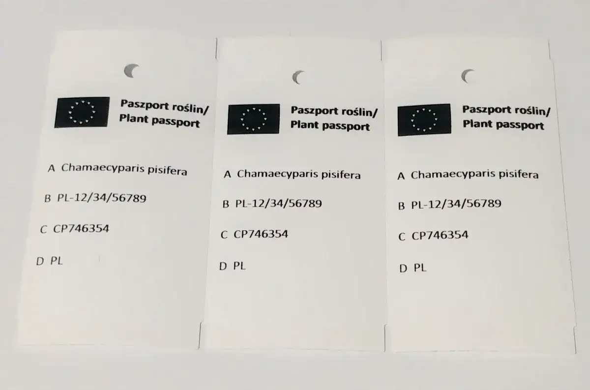 Ile kosztuje paszport roślin? Zaskakujące opłaty i wyjątki