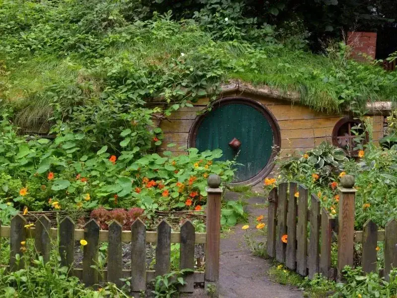 O czym jest książka Hobbit? Poznaj fascynującą fabułę i bohaterów