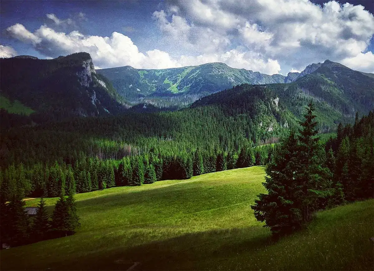 Tatry widziane z Zakopanego: zielone hale, gęste lasy świerkowe i skaliste szczyty pod chmurami.